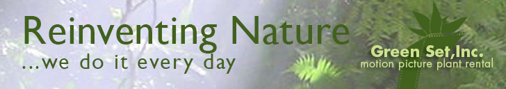 GREEN SET, INC.