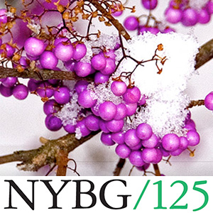 THE NEW YORK BOTANICAL GARDEN | NYBG
