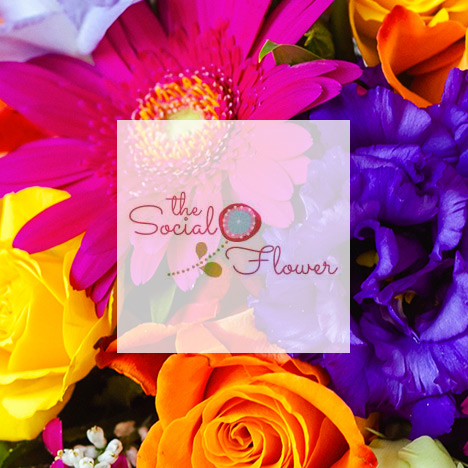 THE SOCIAL FLOWER