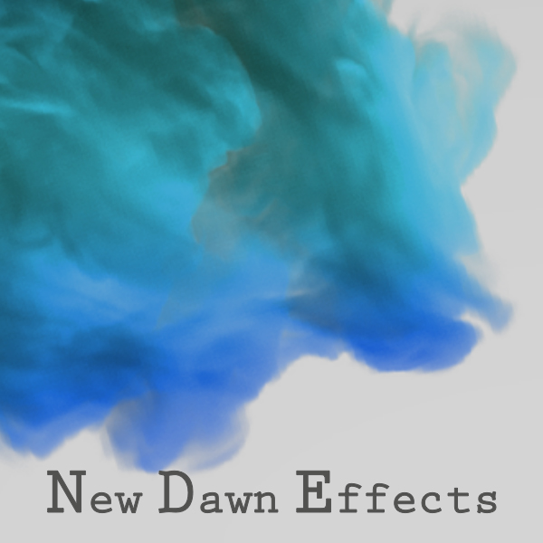 NEW DAWN EFFECTS INC