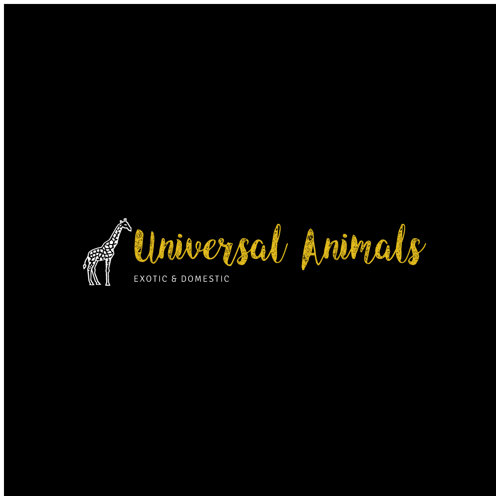 UNIVERSAL ANIMALS LLC