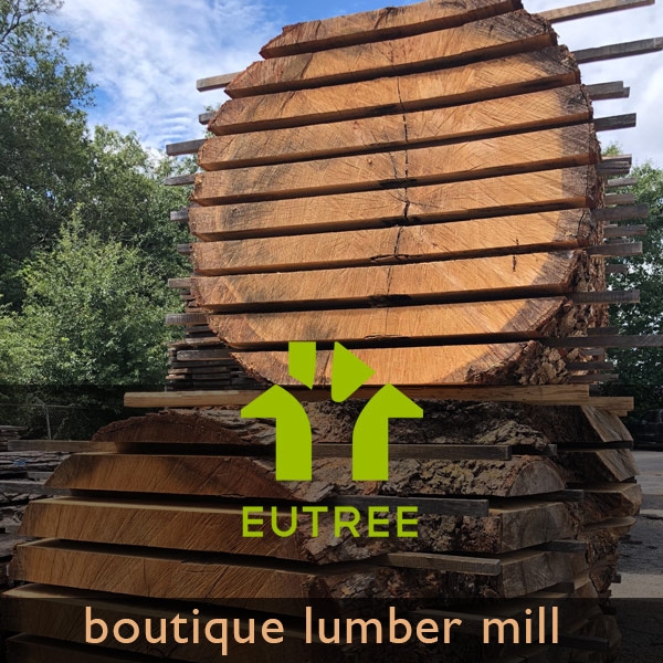 EUTREE INC