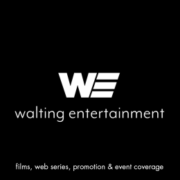 WALTING ENTERTAINMENT LLC